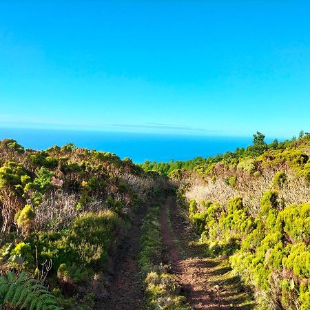 Faial Casa Dankari B&B Ribeirinha  Εξωτερικό φωτογραφία
