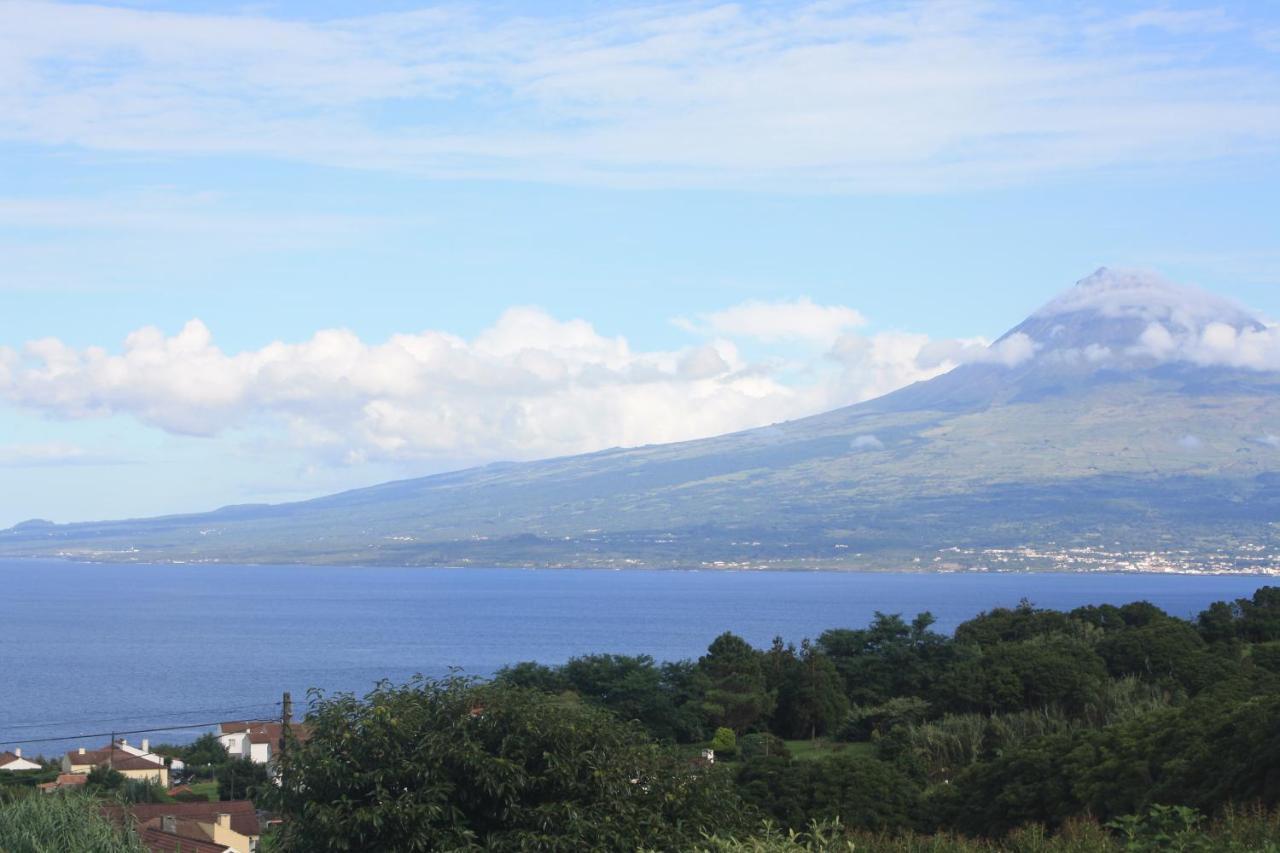 Faial Casa Dankari B&B Ribeirinha  Εξωτερικό φωτογραφία