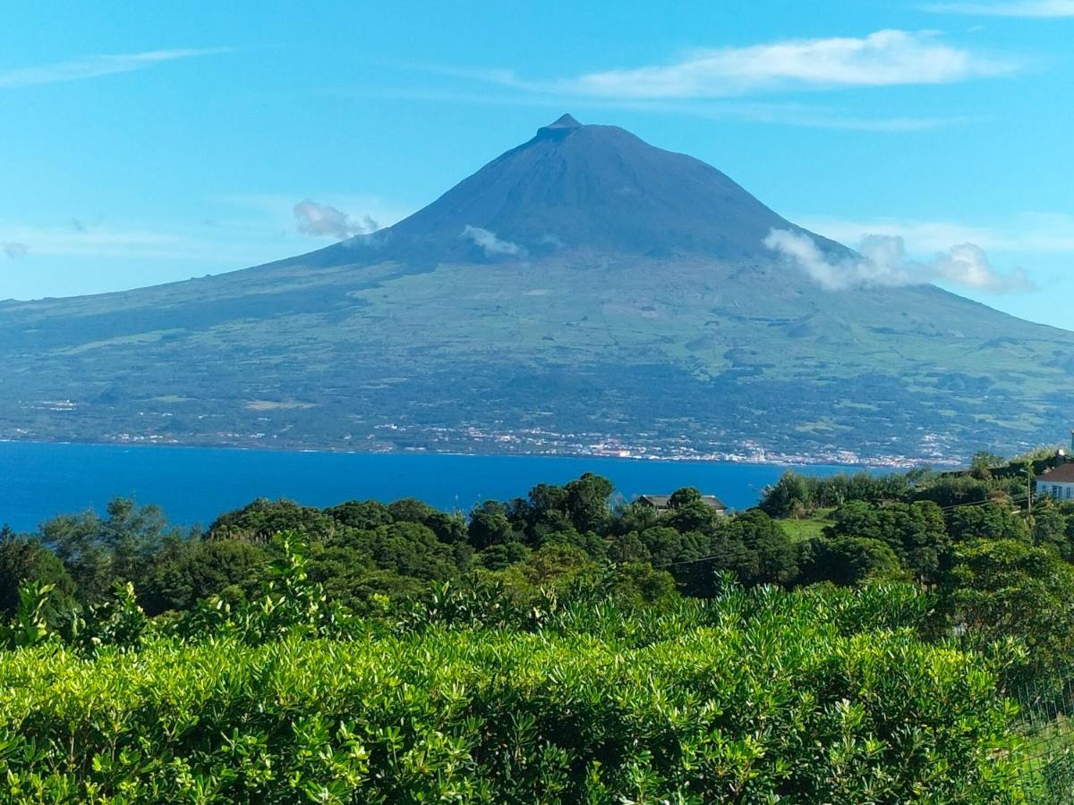 Faial Casa Dankari B&B Ribeirinha  Εξωτερικό φωτογραφία